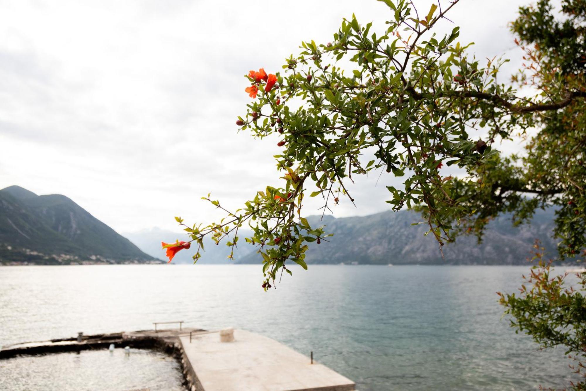 Apartments Djurovic Kotor Extérieur photo